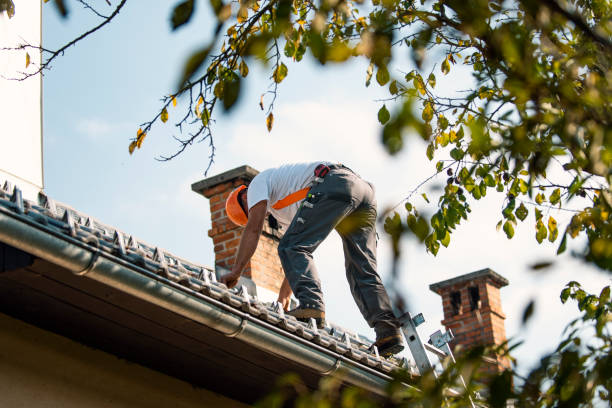 Roof Gutter Cleaning in Browns Point, WA