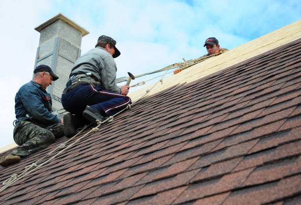 Best Metal Roofing Contractor  in Browns Point, WA